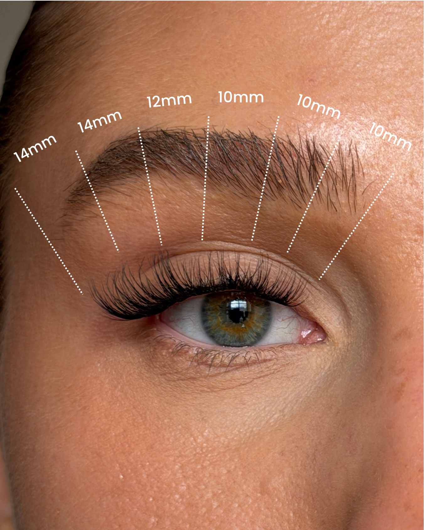 SL28 Premium Pre Glued Cluster Lashes | Natural Wispy Lashes