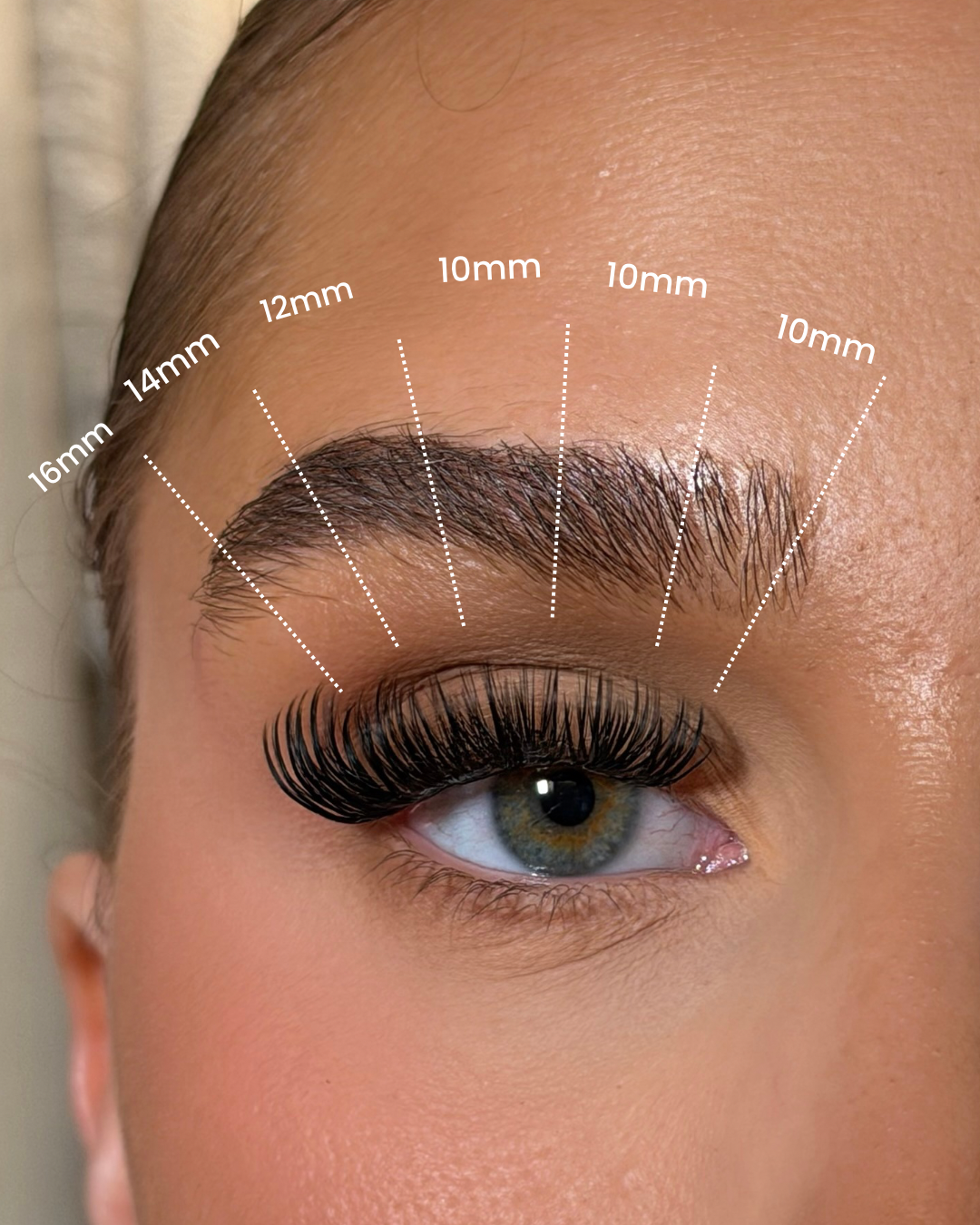 Bundle SL04 Russian/Hybrid cluster lashes