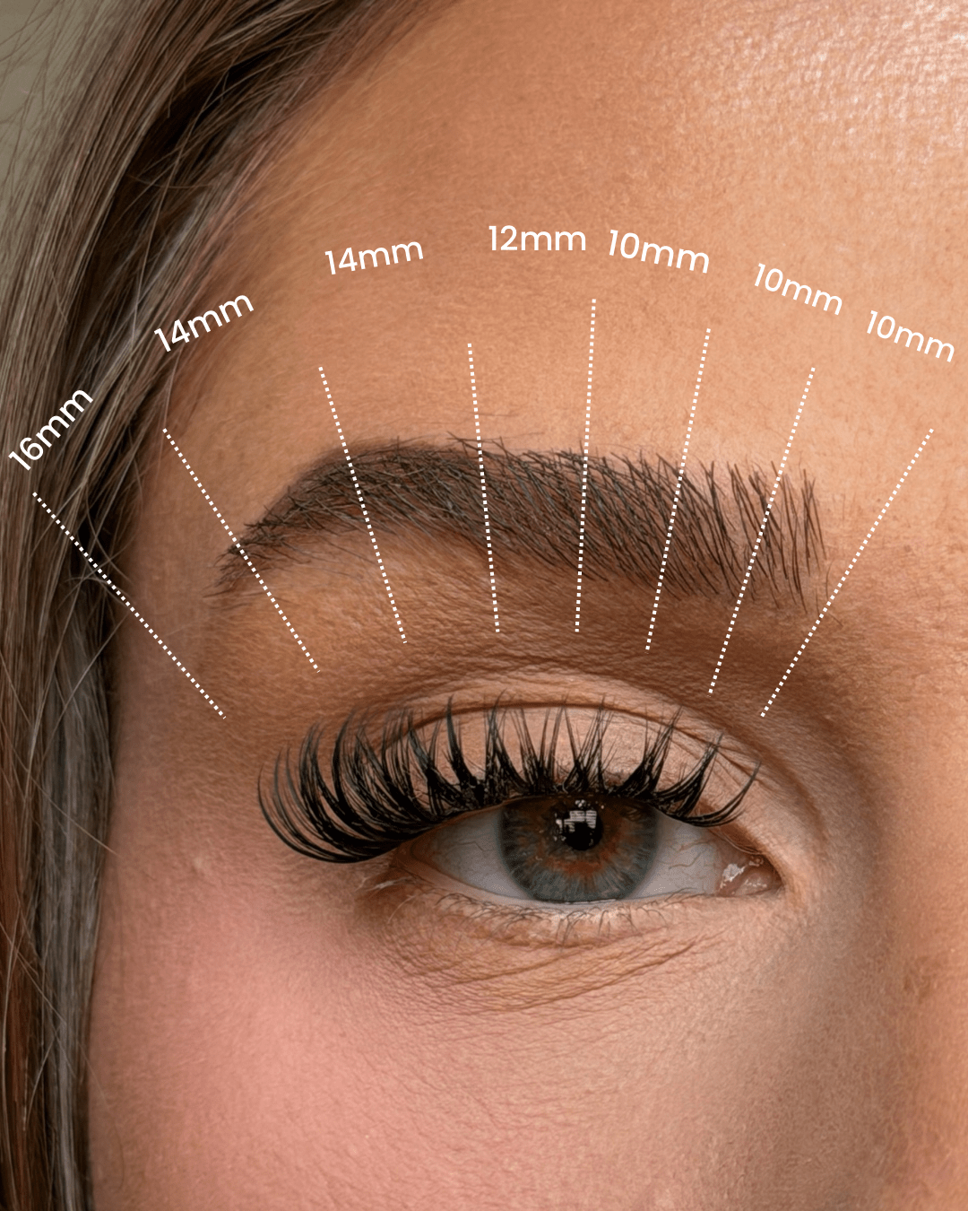 SL01 Premium Wet Look Lashes – Soft Defined Finish