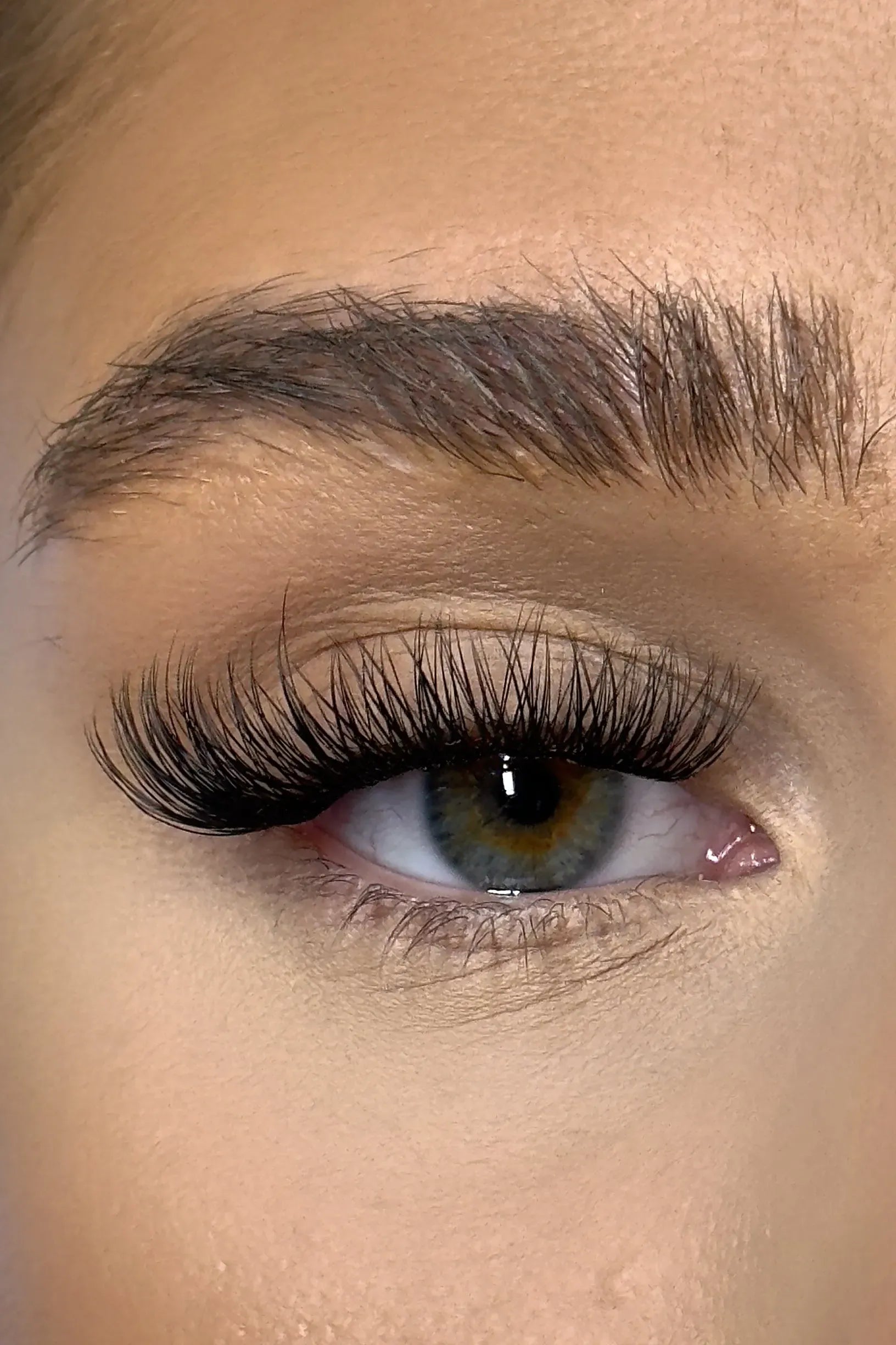 SL21 Cluster Lashes C-curl.