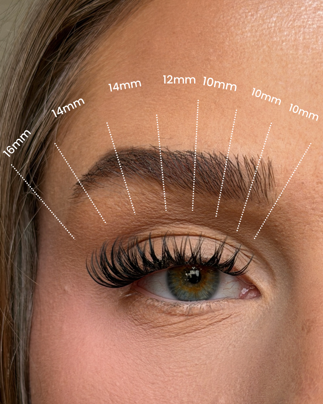 80pcs SL01 Premium Wet Look Lashes – Soft Defined Finish