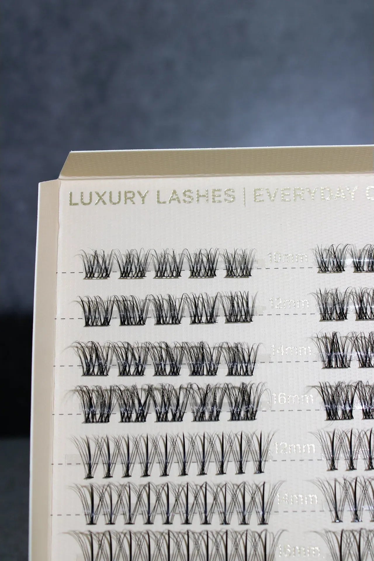 Eyelash extension tray with various lash styles on a dark background