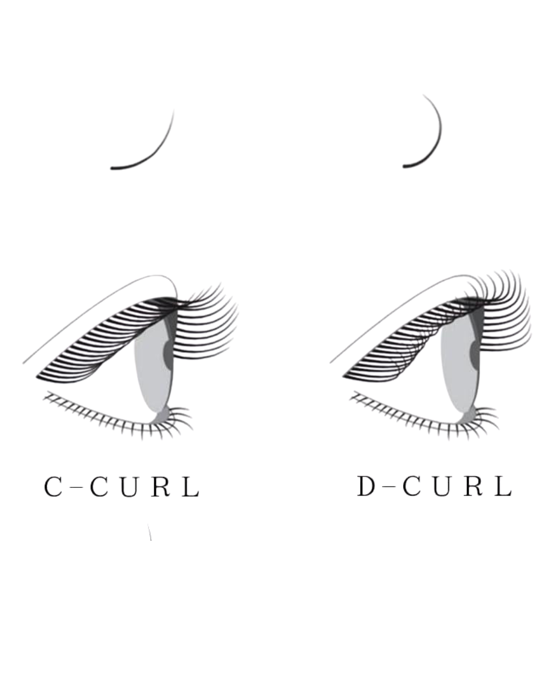 Illustrations of C-Curl and D-Curl false eyelashes on a white background