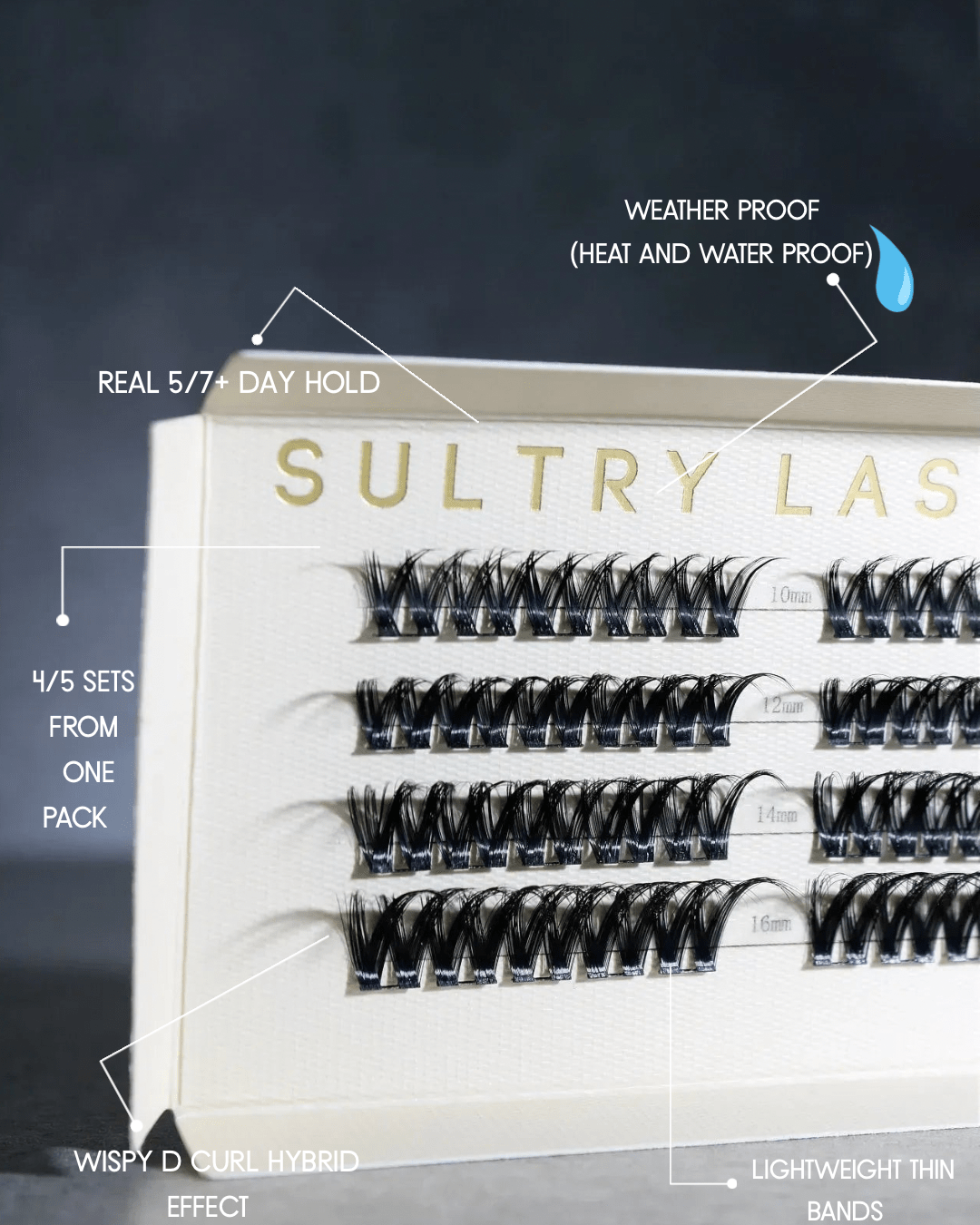 SL01 Premium Wet Look Lashes – Soft Defined Finish
