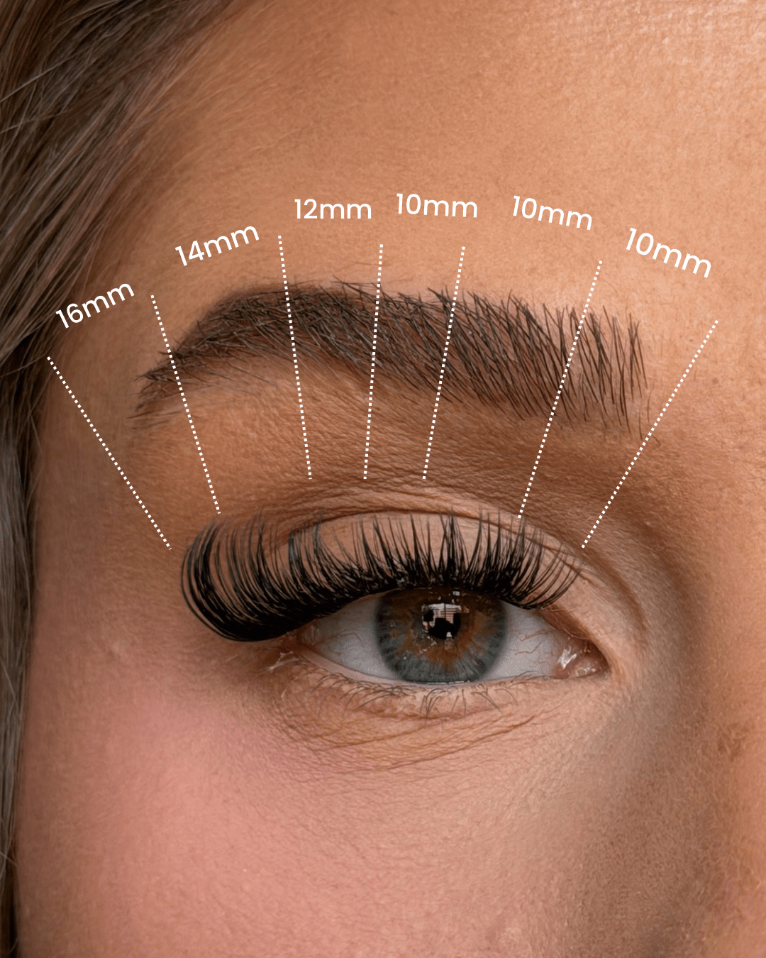 SL02 Premium Hybrid Cluster Lashes – Soft Volume Effect
