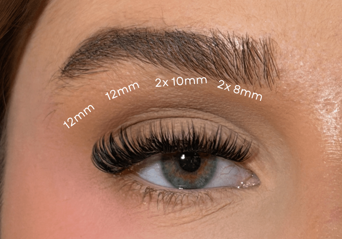 SL04 Premium D curl Hybrid lashes