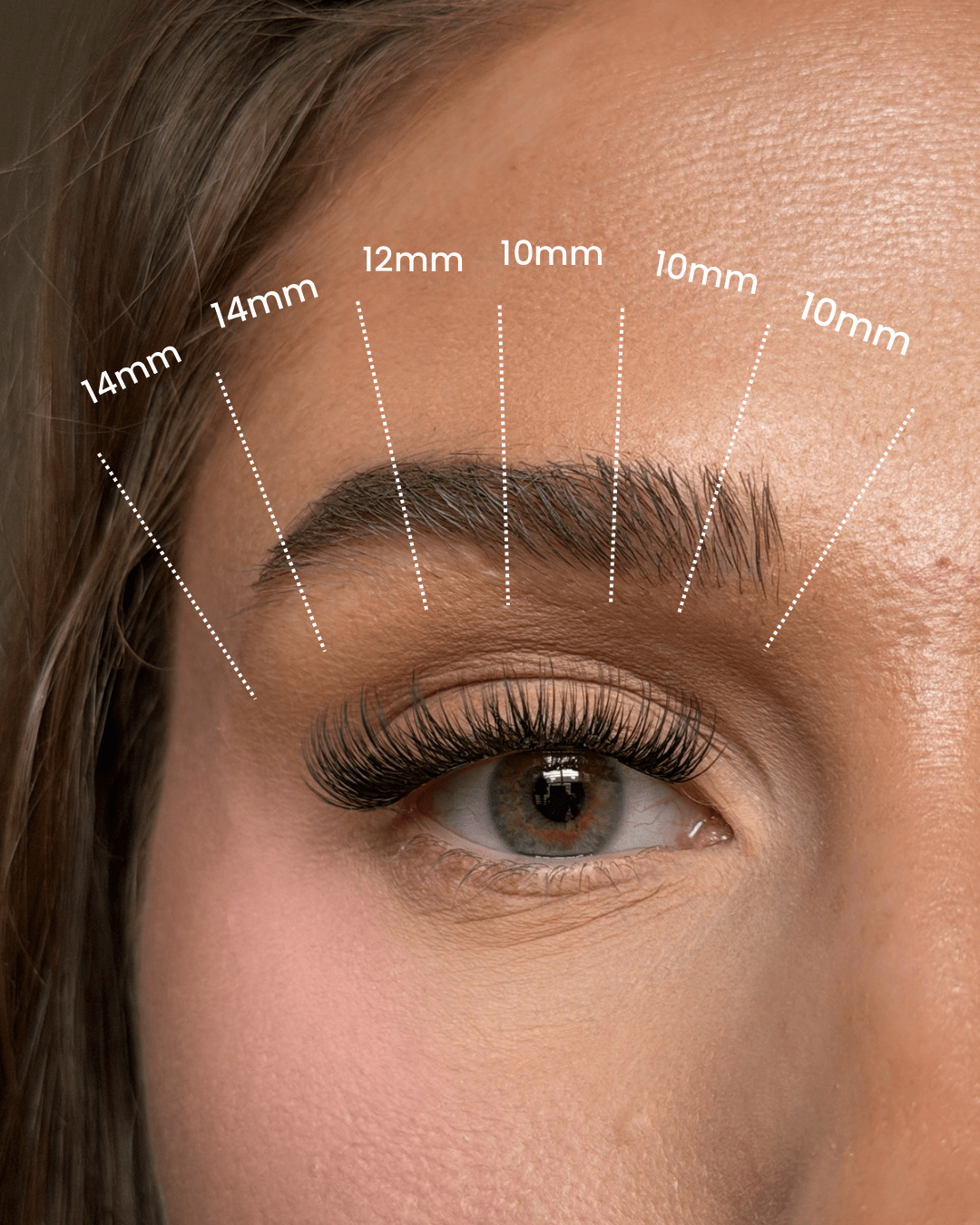SL23 Premium Natural Everyday Cluster Lashes