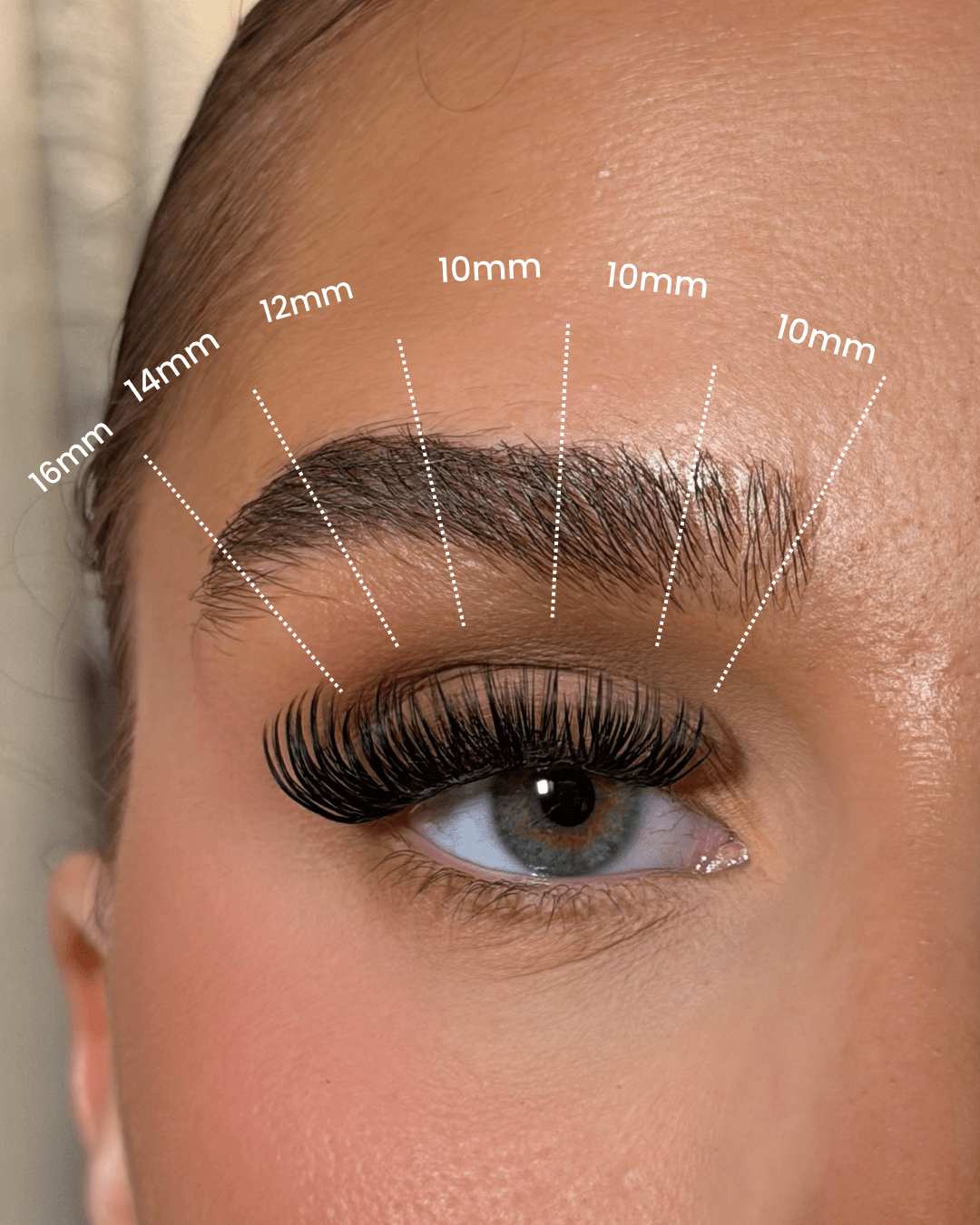 The Complete Lash Kit SL04