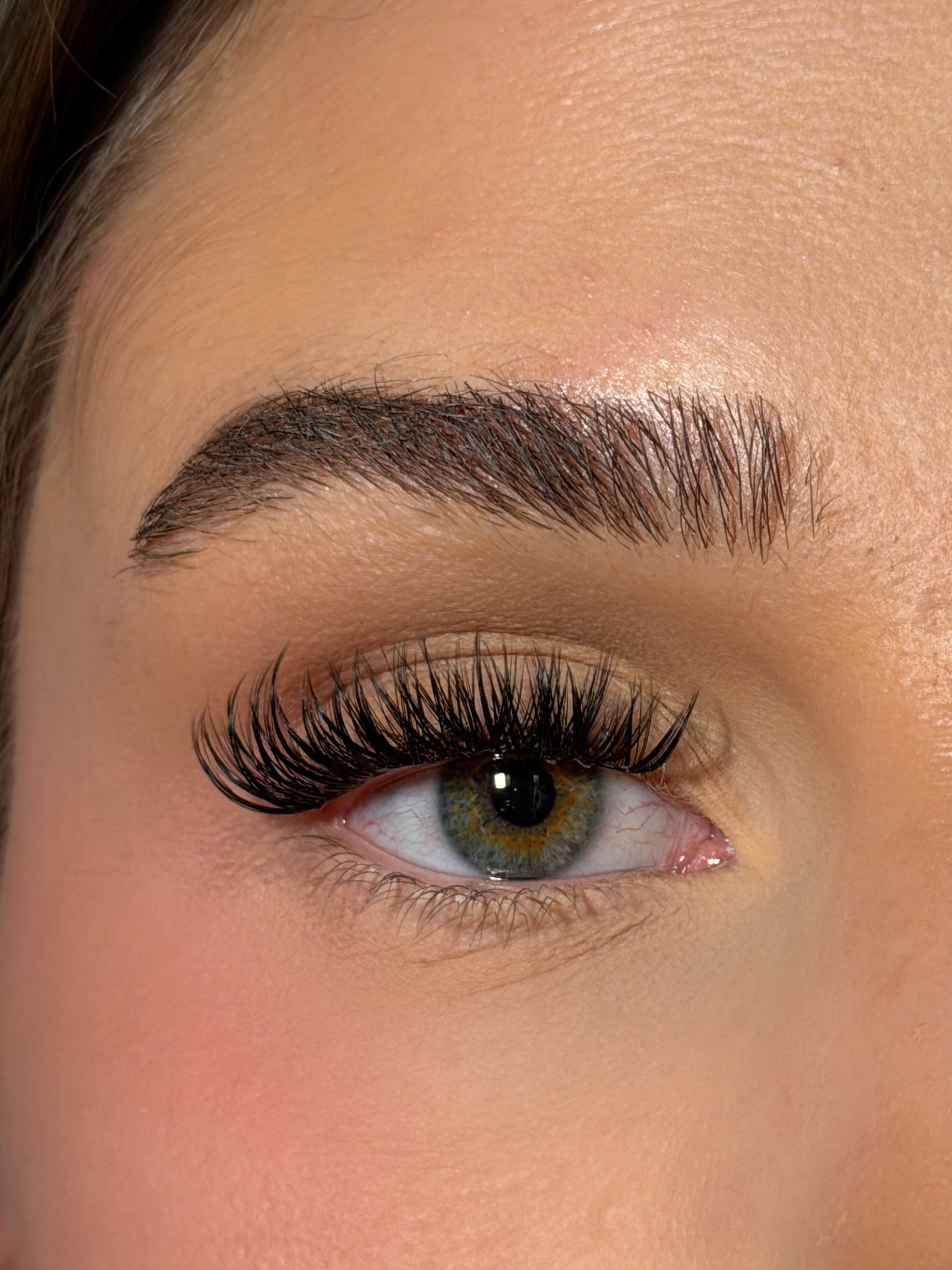 SL24 Cluster lashes C-curl