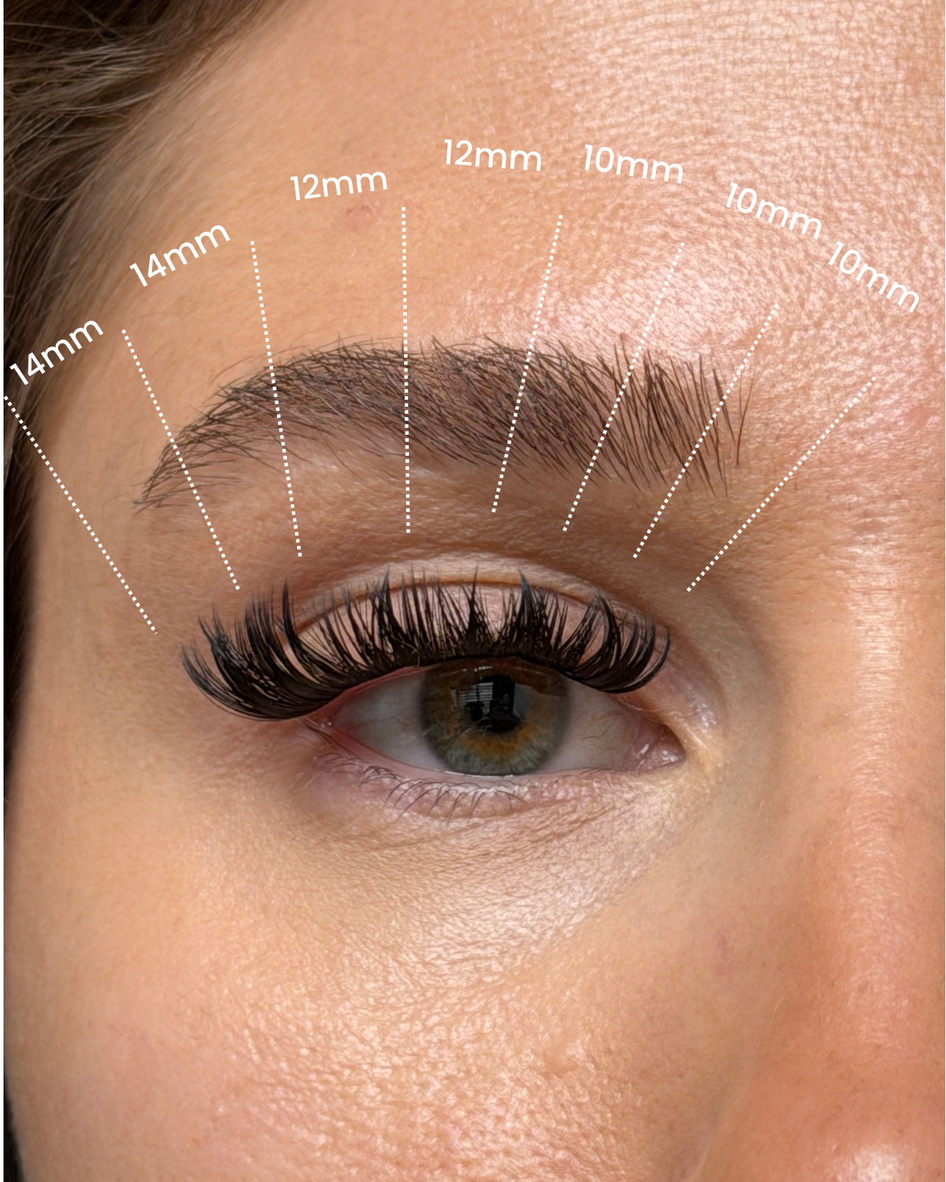 SL15 Premium Soft Volume Effect clusters