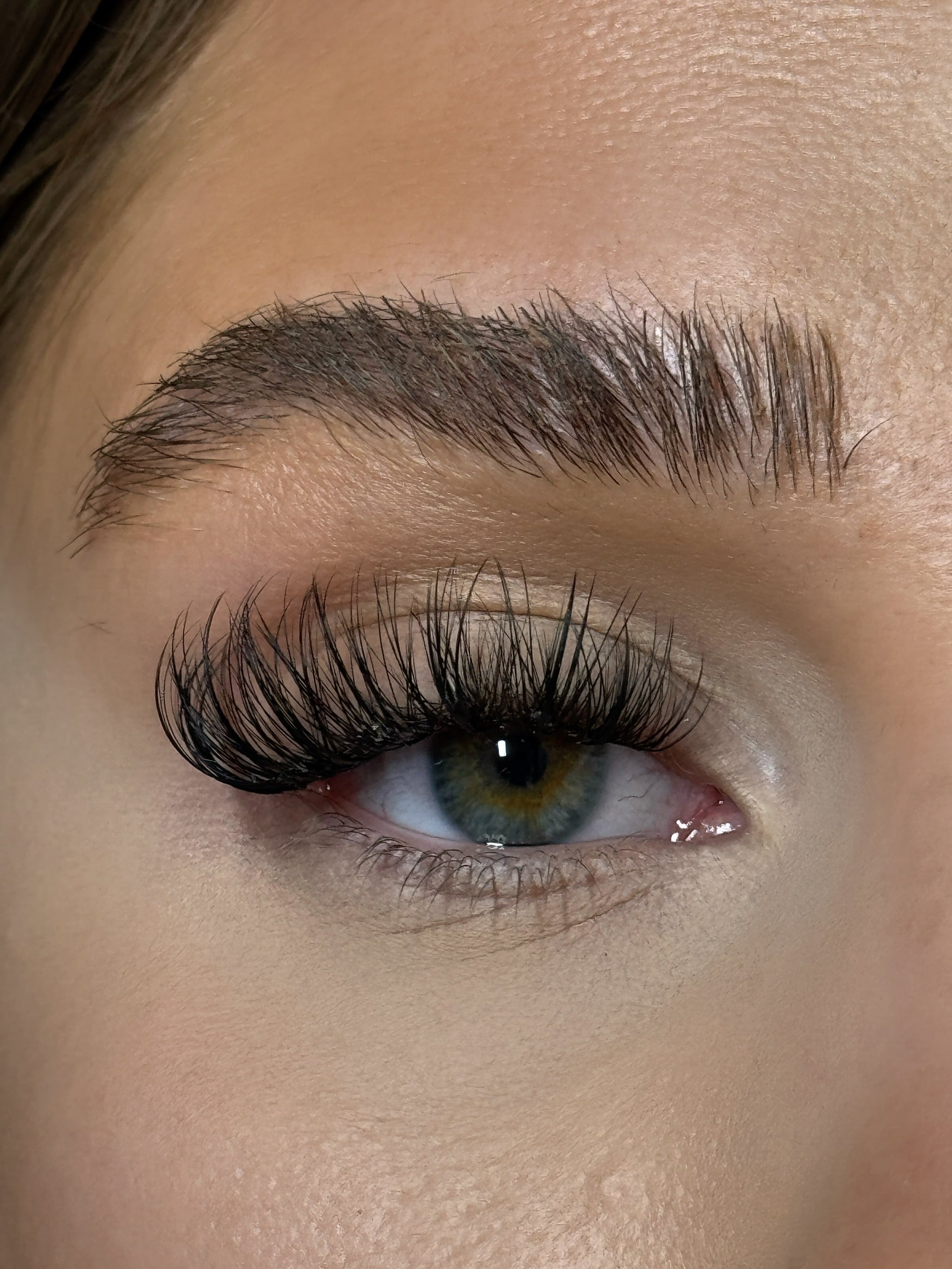 SL26 Cluster lashes