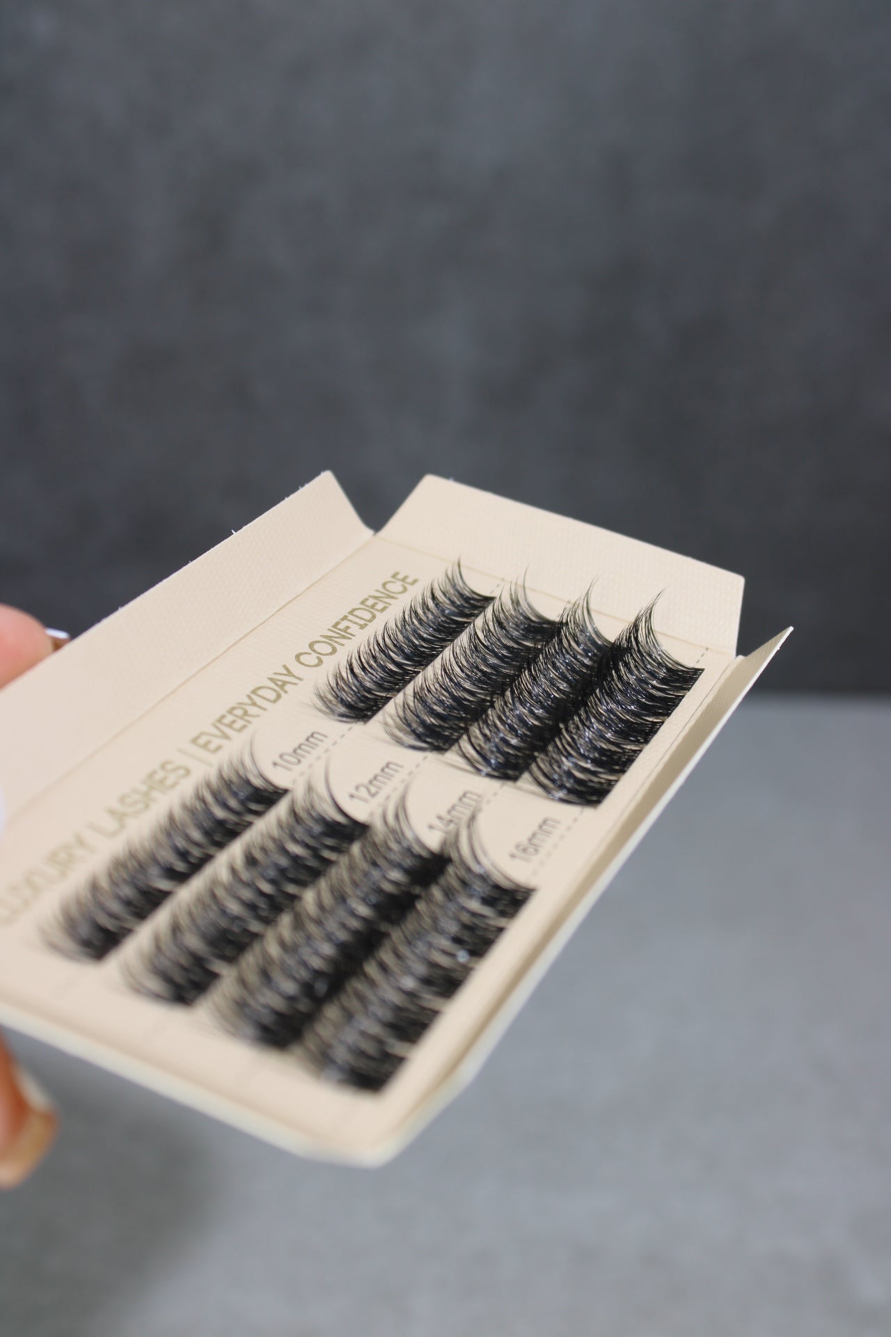 SL24 Cluster lashes