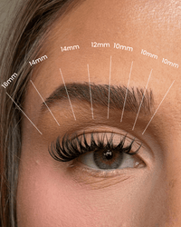 Premium D curl Hybrid Cluster Lashes XL pack SL01