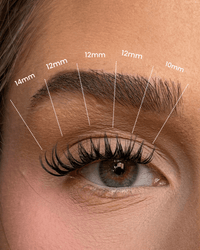 Premium D curl Hybrid Cluster Lashes XL pack SL01