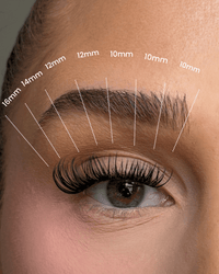SL03 Classic D curl premium cluster lashes
