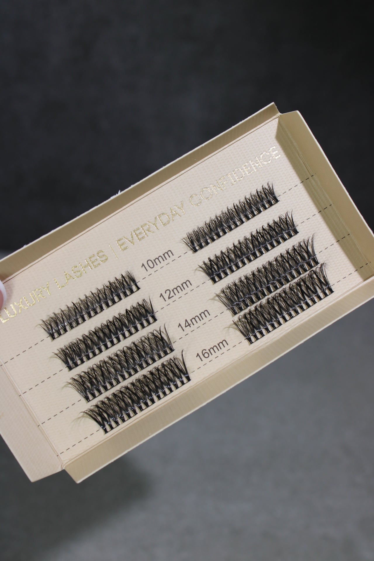 SL22 Cluster Lashes