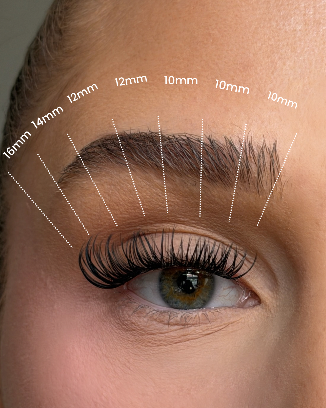 4 pcs Premium Lash Kit SL03 natural D curl