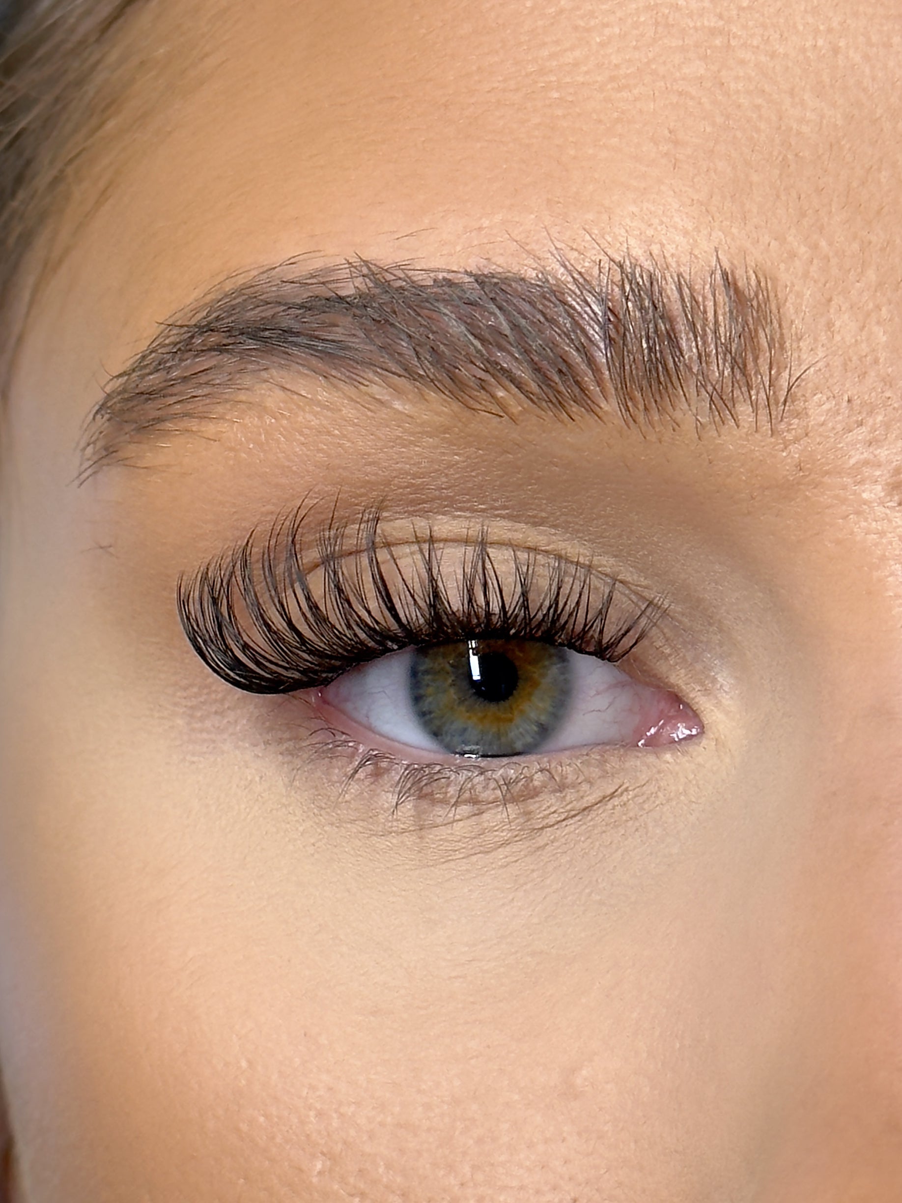 SL25 Cluster lashes