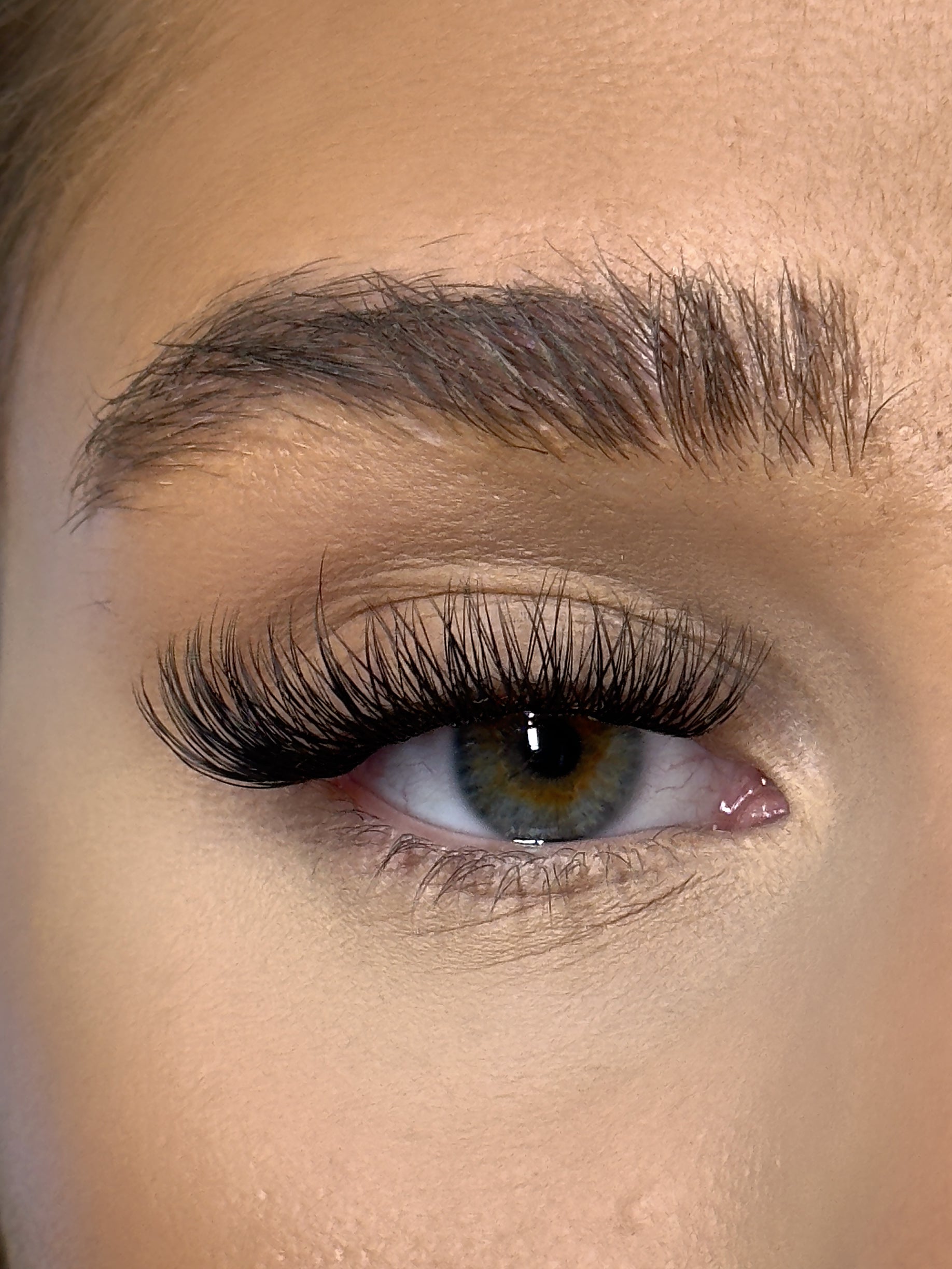 SL21 Cluster Lashes