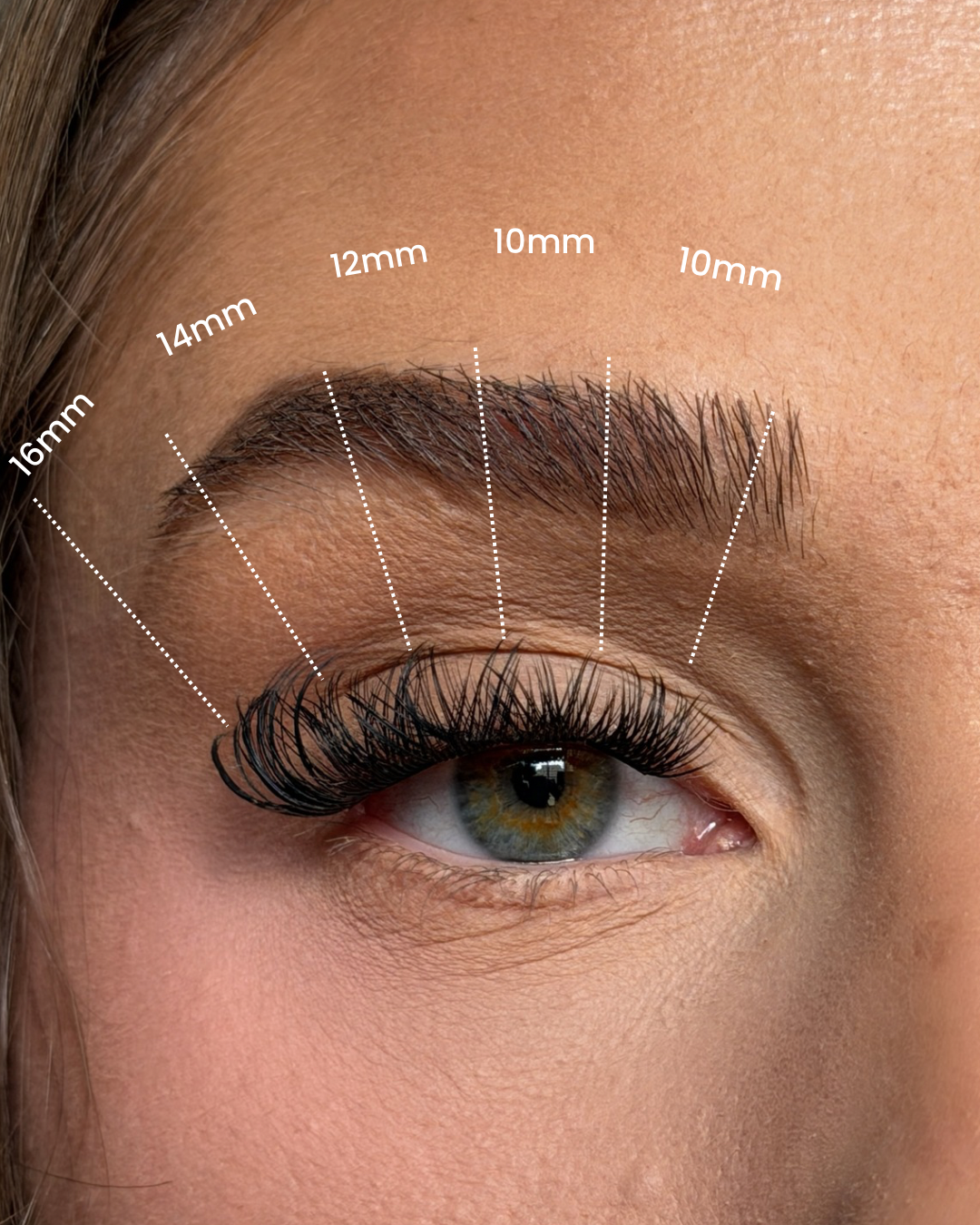 SL13 D curl Premium DIY Eyelash Extensions 40pcs