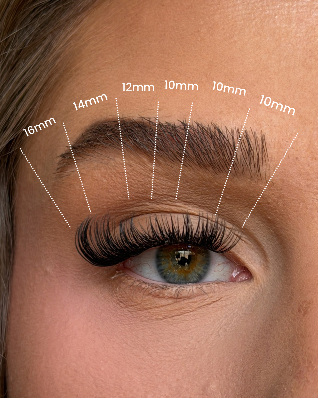 SL02 Premium Hybrid Cluster Lashes – Soft Volume Effect