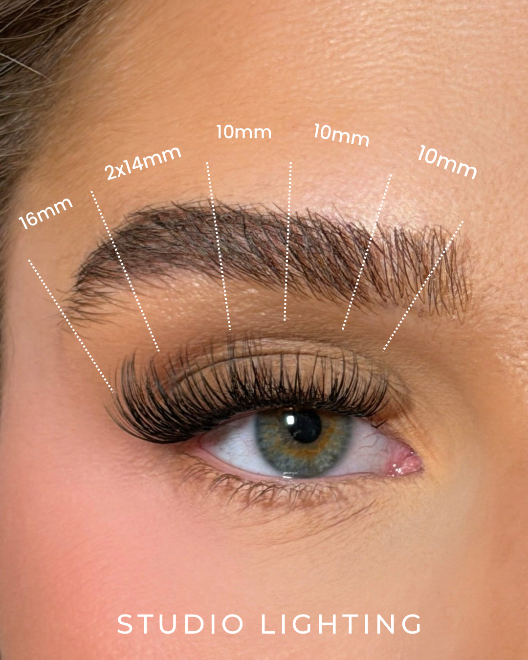 SL23 Premium Natural Everyday Cluster Lashes