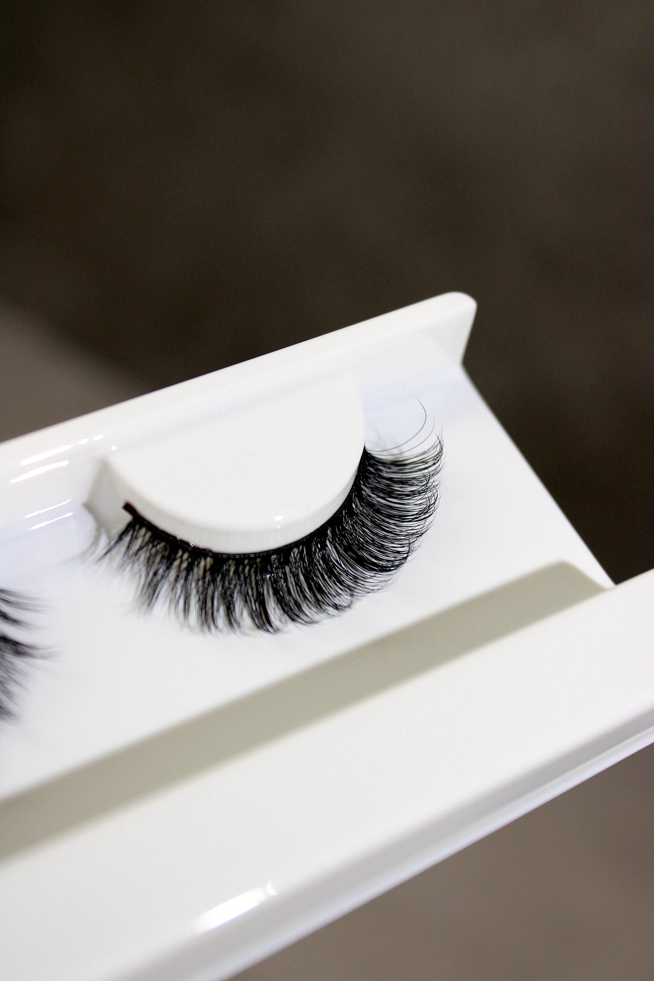 Graceful Winged Shorter Hybrid Strip Lash