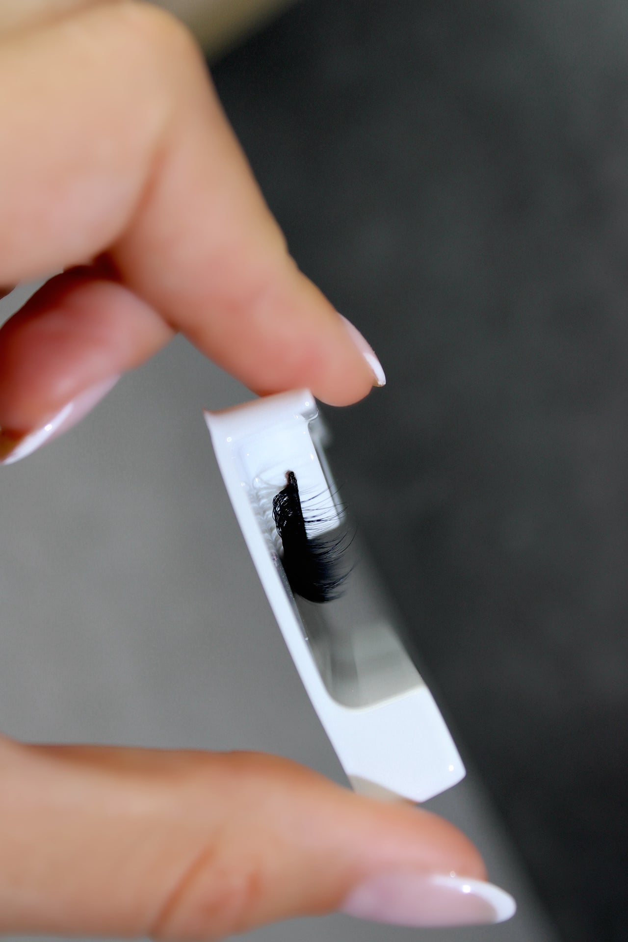 Graceful Winged Shorter Hybrid Strip Lash