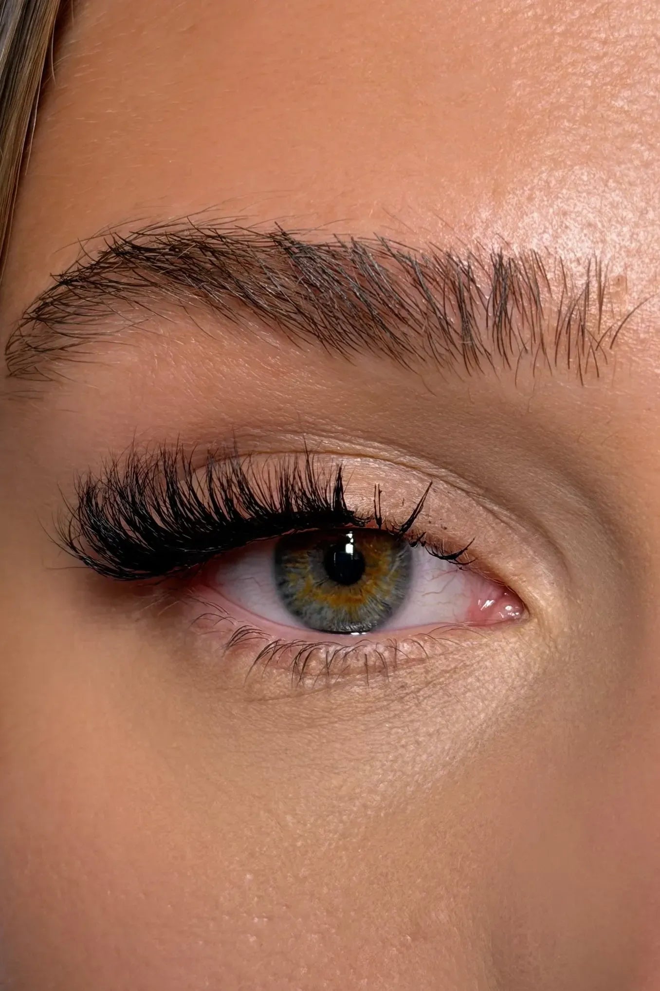 Fox Mega Winged Half Lash (Upgraded curl and fluffiness)