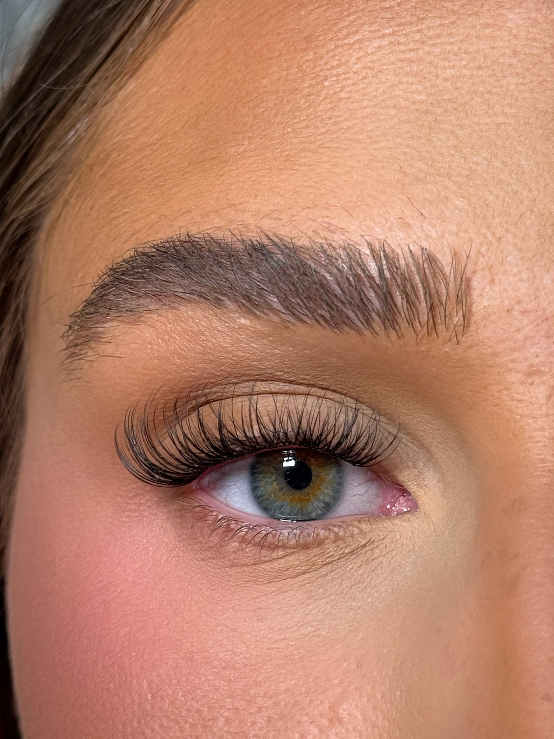 SL26 Cluster lashes C-curl