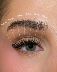 Complete Premium Starter DIY lash Kit SL22