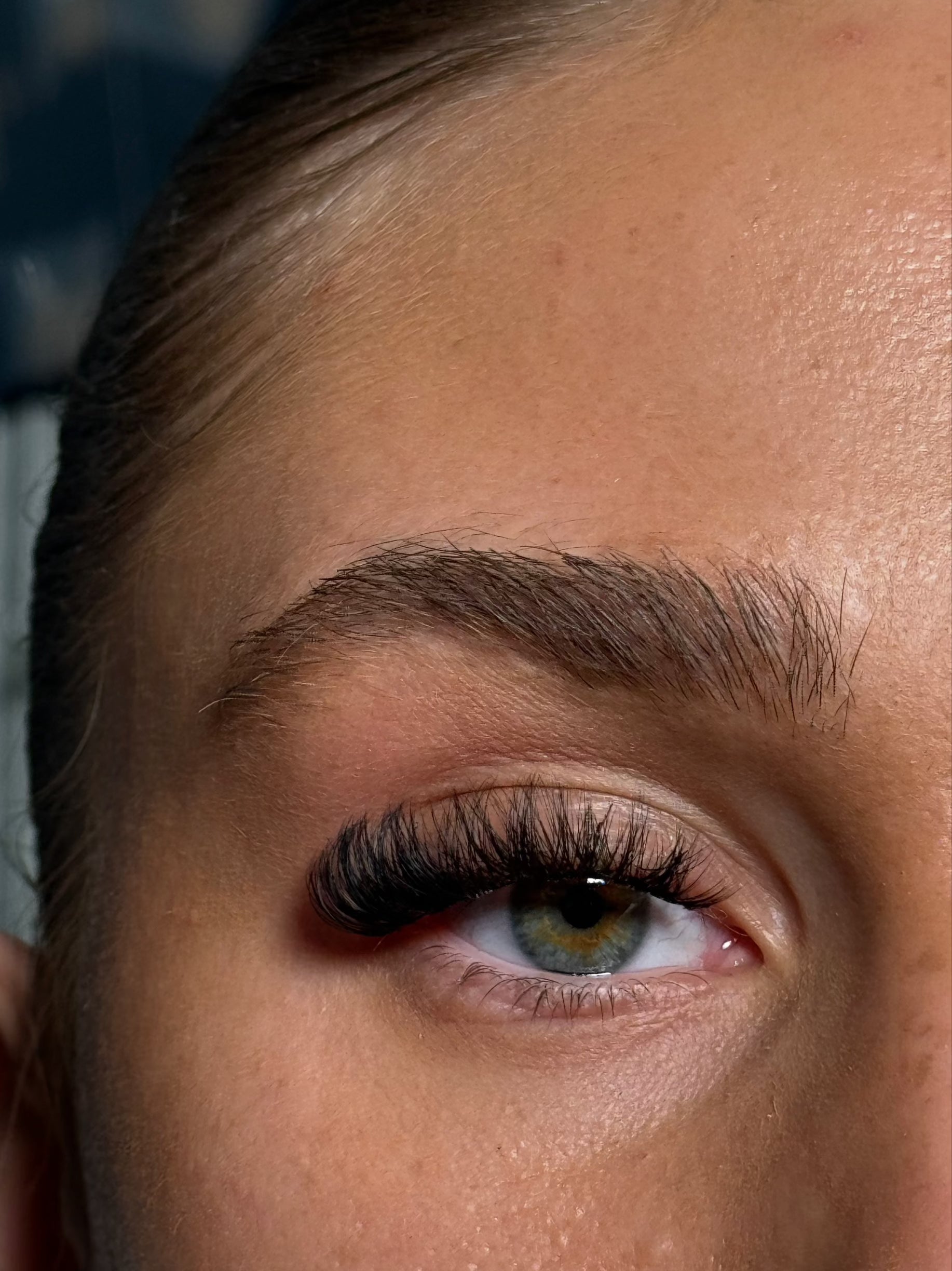 Divinity Wipsy D-curl Strip Lash - Sultry Lash Bar 