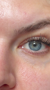 SL22 Classic premium DIY cluster lashes
