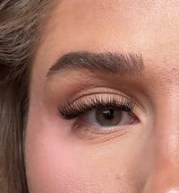 SL23 Classic premium cluster lashes style