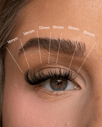 SL02 Cat eye hybrid premium cluster lashes