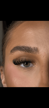 SL02 Cat eye hybrid premium cluster lashes