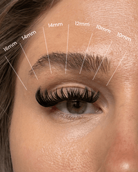 SL17cc Russian effect cluster lashes