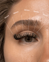 SL18 Ultra soft Korean Fiber cluster lashes