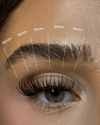 SL22 Classic premium DIY cluster lashes