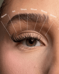 SL25 Natural premium cluster lashes