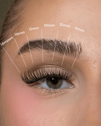 SL25 Natural premium cluster lashes